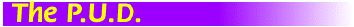 foreskin restoration products